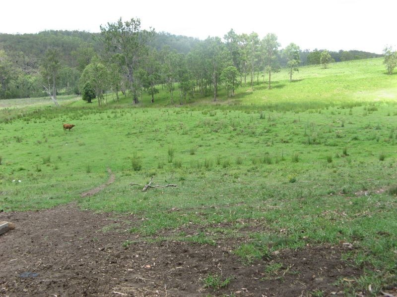 6 Hiscocks Road, Theresa Creek NSW 2469