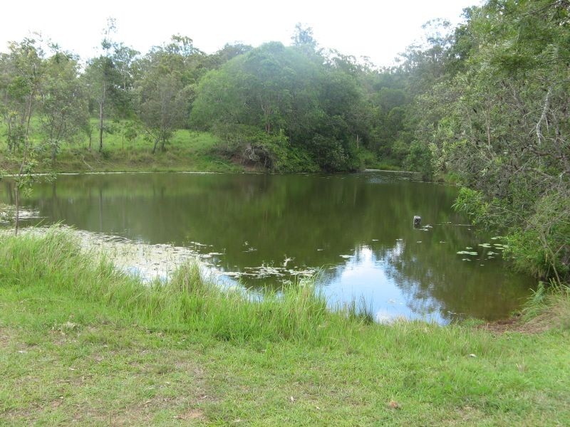 6 Hiscocks Road, Theresa Creek NSW 2469