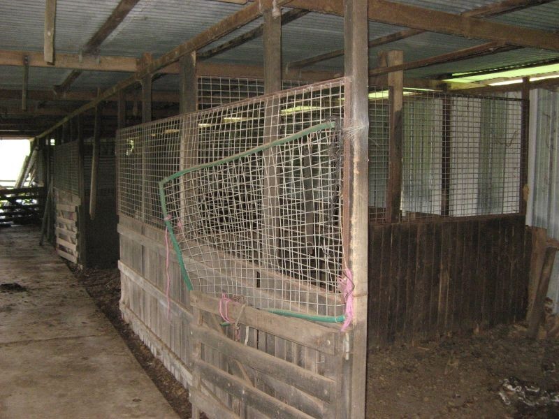 6 Hiscocks Road, Theresa Creek NSW 2469