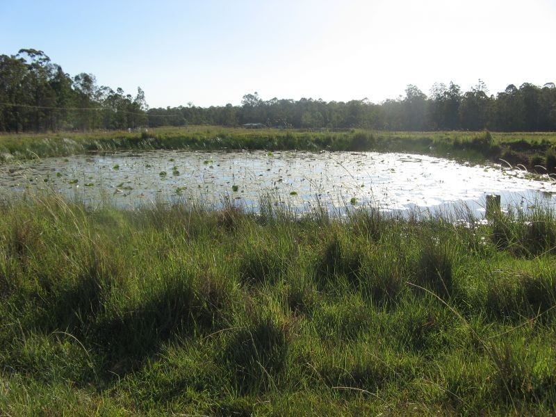 635 Avenue Road, Ellangowan NSW 2470