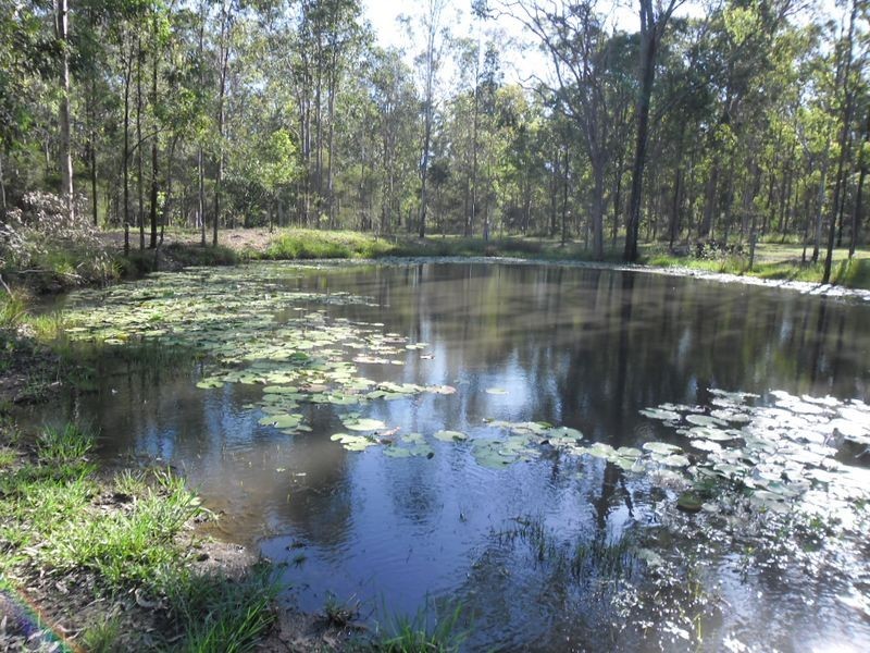 8992 Summerland Way, Casino NSW 2470