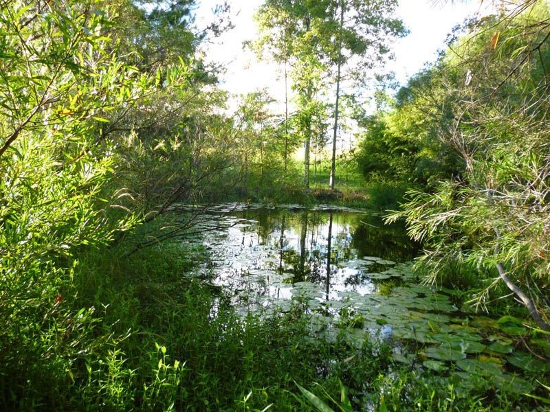 North Casino NSW 2470