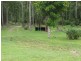 2465 Myall Creek Rd, Bora Ridge NSW 2471