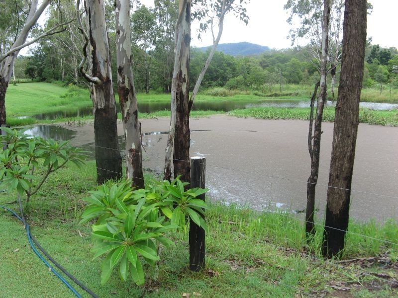 2455 Busbys Flat Road, Casino NSW 2470