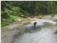 781 Eden Creek Road, Upper Eden Creek NSW 2474
