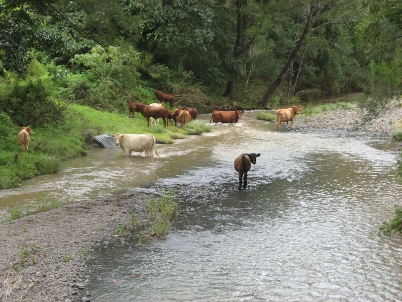 781 Eden Creek Road, Upper Eden Creek NSW 2474