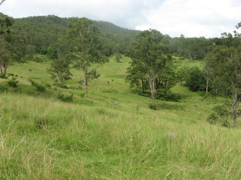 781 Eden Creek Road, Upper Eden Creek NSW 2474