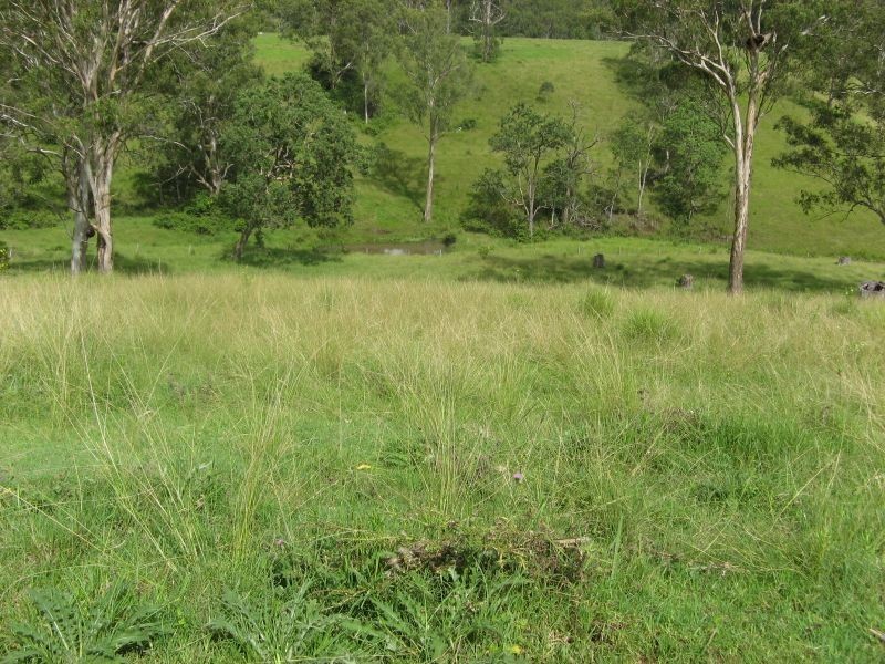 781 Eden Creek Road, Upper Eden Creek NSW 2474
