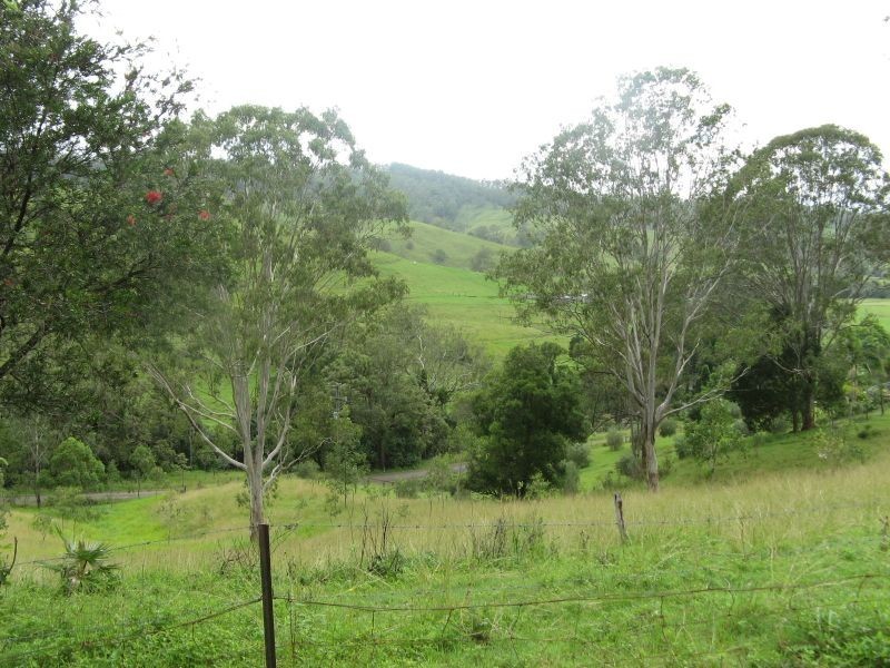 781 Eden Creek Road, Upper Eden Creek NSW 2474