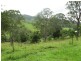 781 Eden Creek Road, Upper Eden Creek NSW 2474