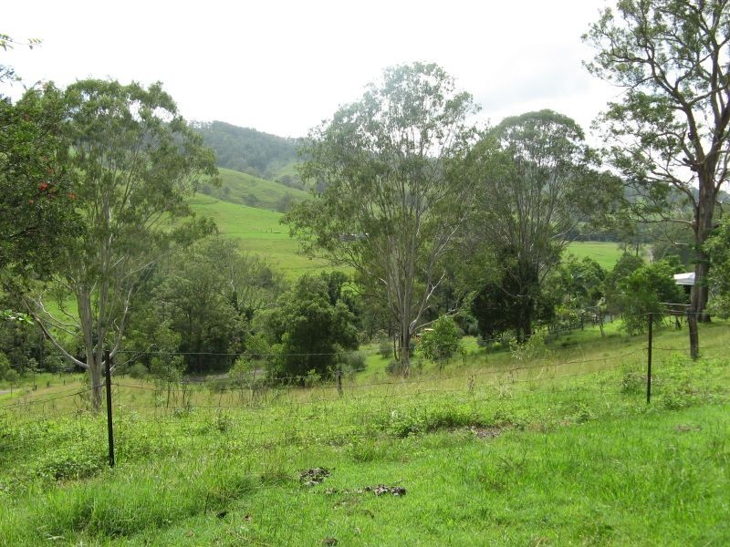 781 Eden Creek Road, Upper Eden Creek NSW 2474