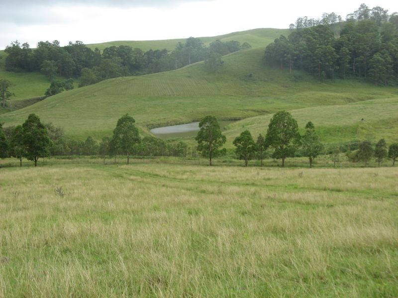 767 Afterlee Road, Kyogle NSW 2474
