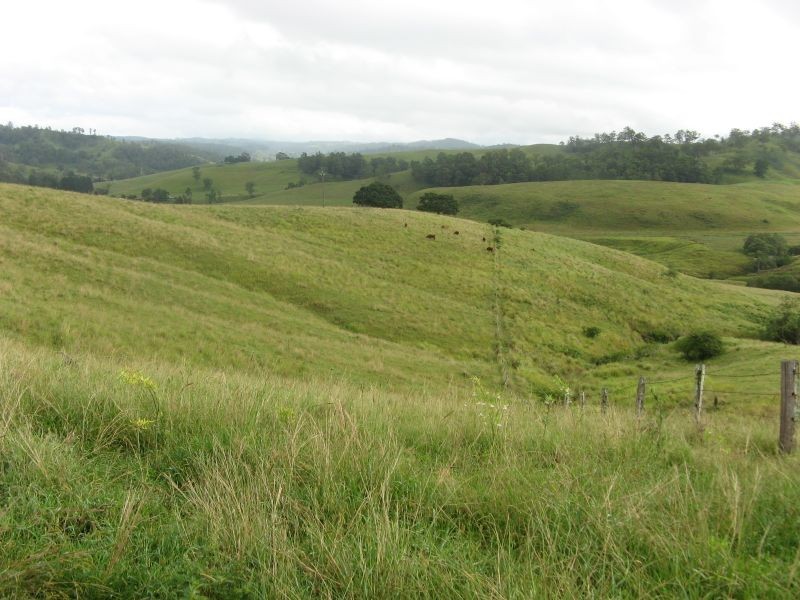 767 Afterlee Road, Kyogle NSW 2474