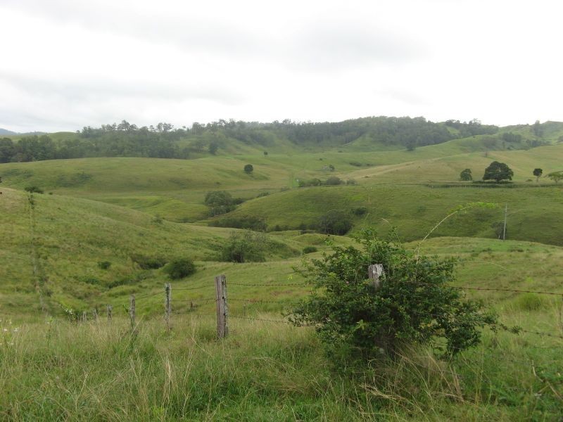 767 Afterlee Road, Kyogle NSW 2474