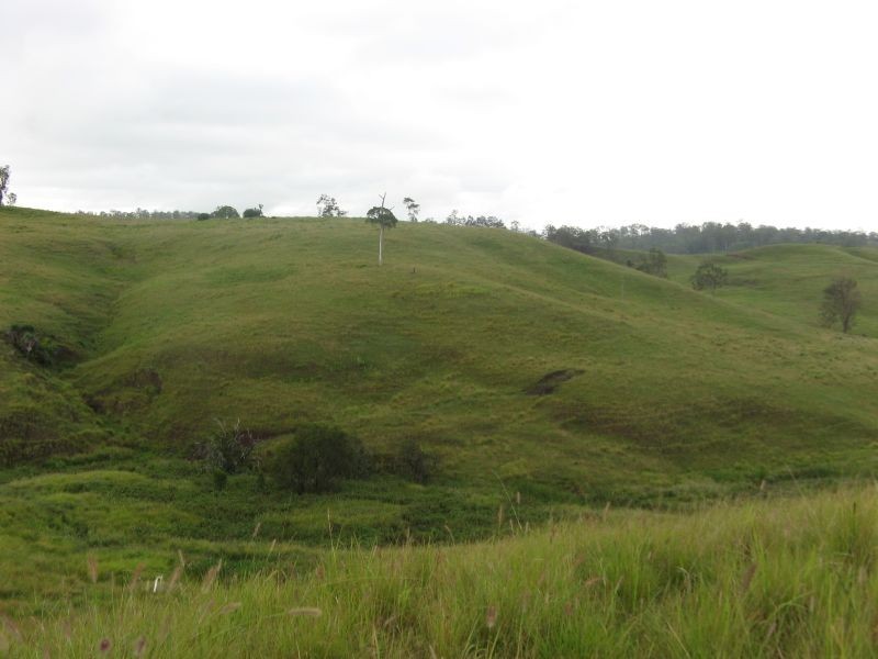 767 Afterlee Road, Kyogle NSW 2474