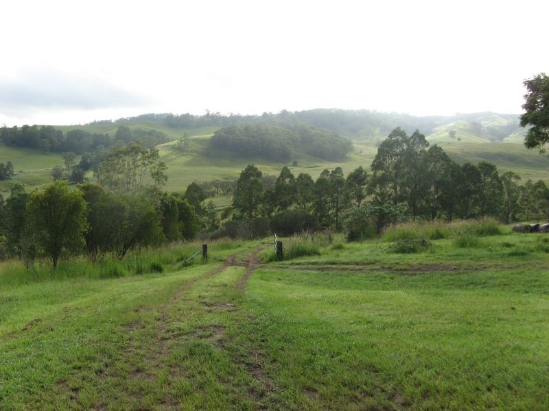 767 Afterlee Road, Kyogle NSW 2474