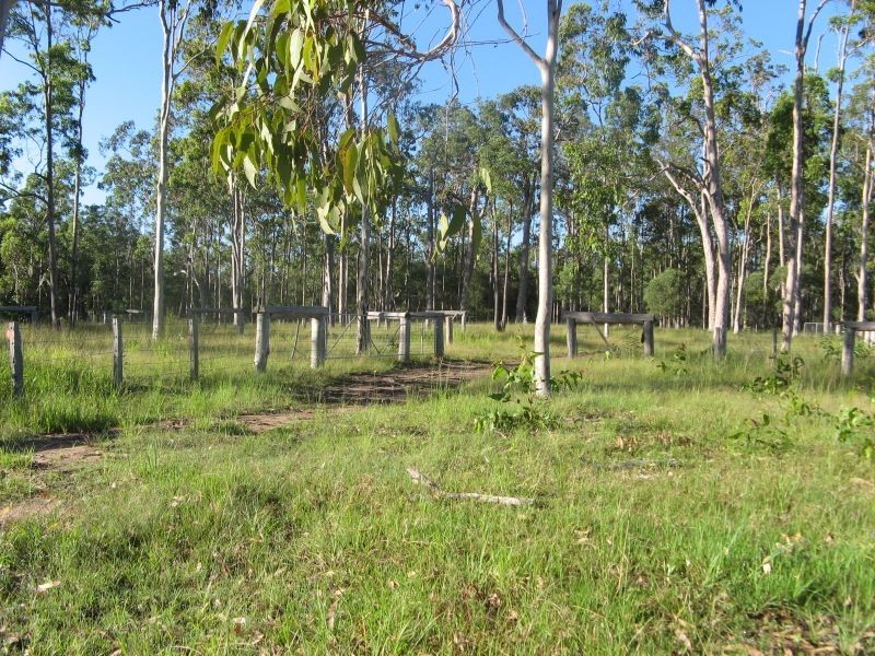 Lot 114/22 Old Tenterfield Road, Rappville NSW 2469