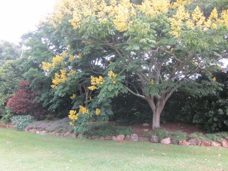 Stratheden NSW 2470