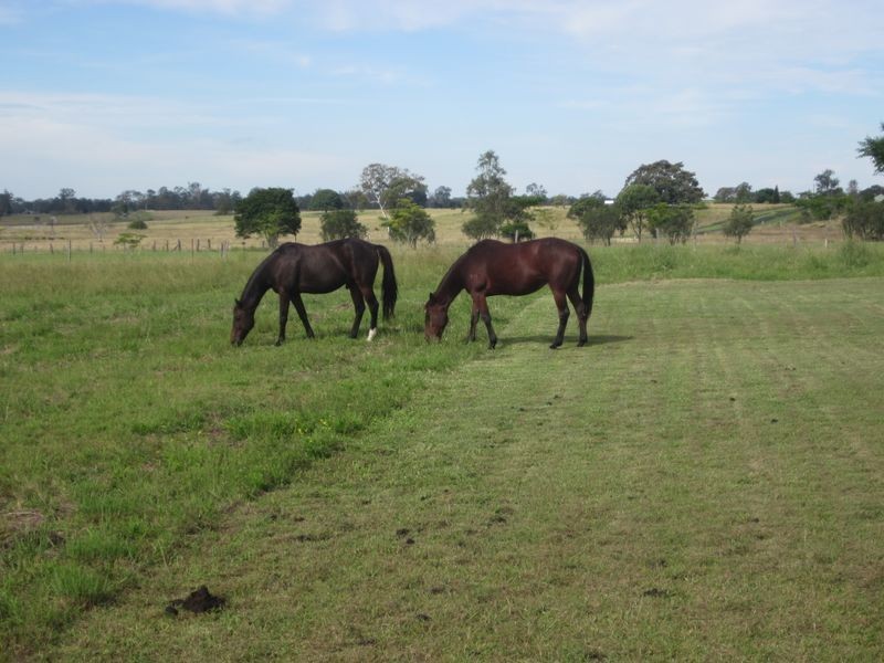 15 Geraghty Road, Yorklea NSW 2470