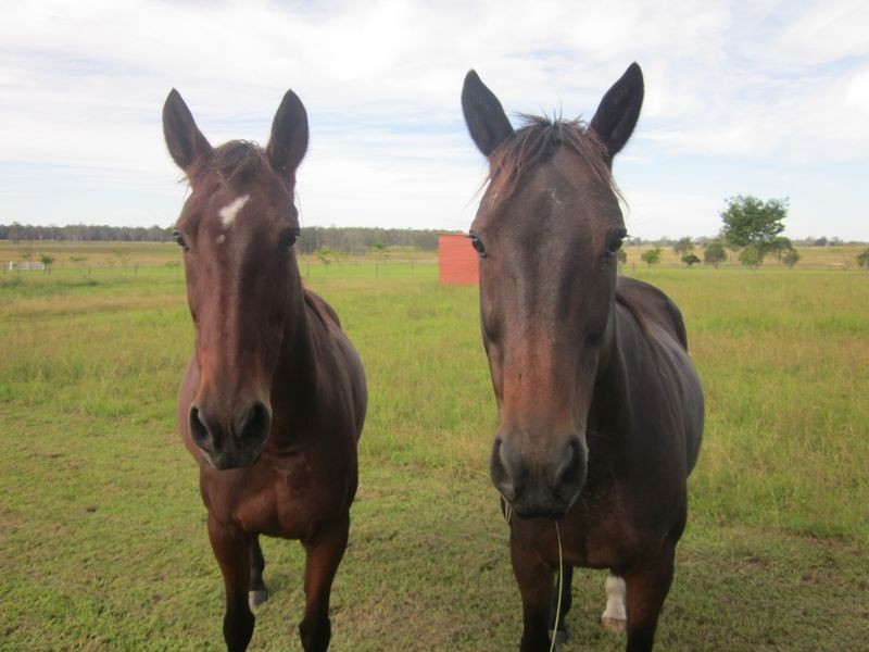 15 Geraghty Road, Yorklea NSW 2470