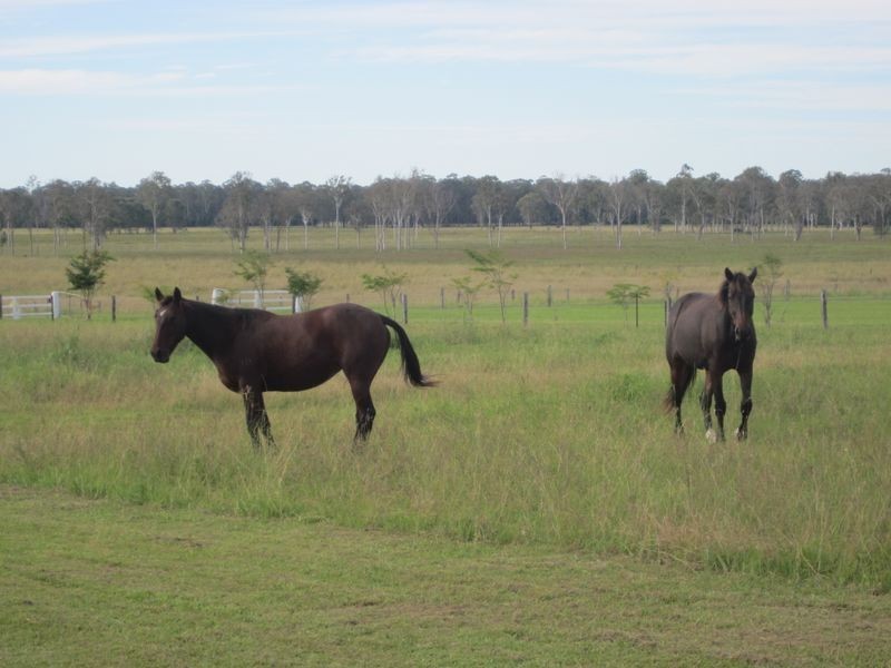 15 Geraghty Road, Yorklea NSW 2470