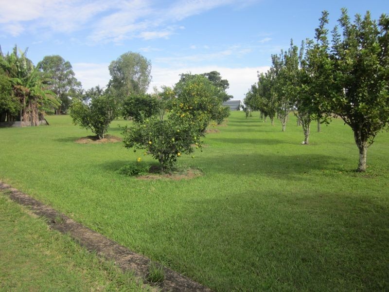 15 Geraghty Road, Yorklea NSW 2470