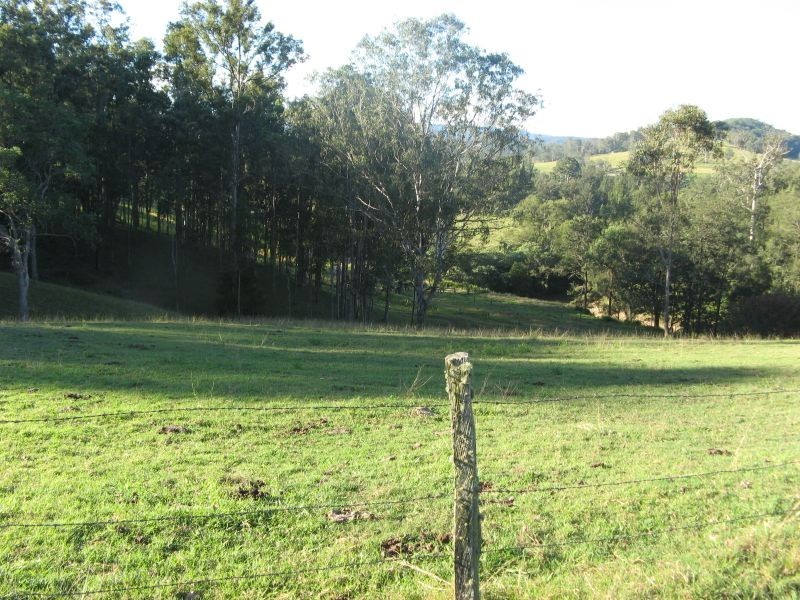 110 Capeen Road, Old Bonalbo NSW 2469
