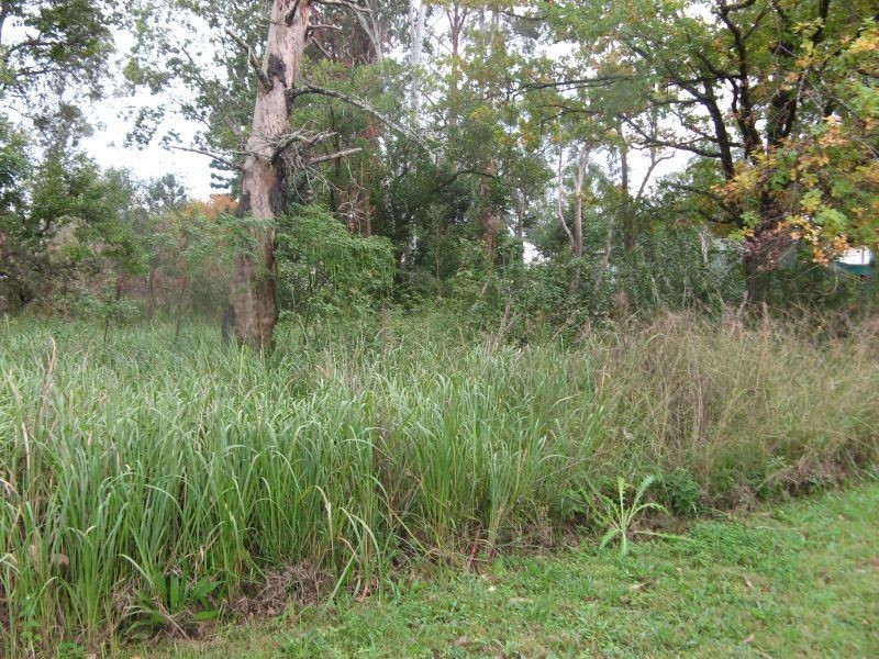 15 Bonalbo Street, Bonalbo NSW 2469