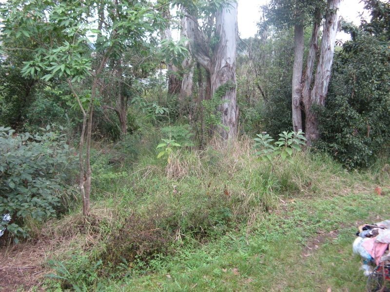 15 Bonalbo Street, Bonalbo NSW 2469