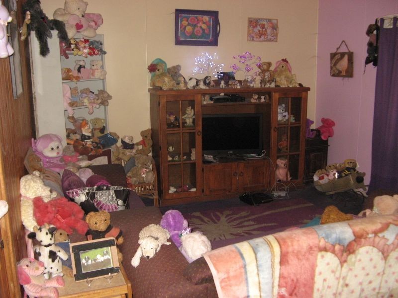 29 Gill Street, Bonalbo NSW 2469