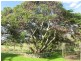 25 Droneys Bridge Road, Casino NSW 2470