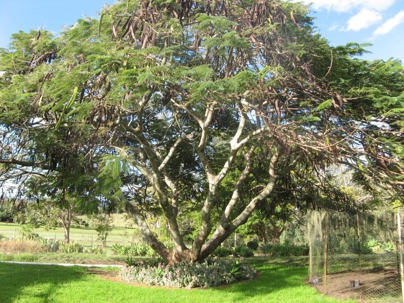 25 Droneys Bridge Road, Casino NSW 2470