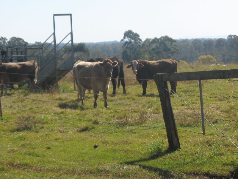 80 Emu Park Road, Casino NSW 2470