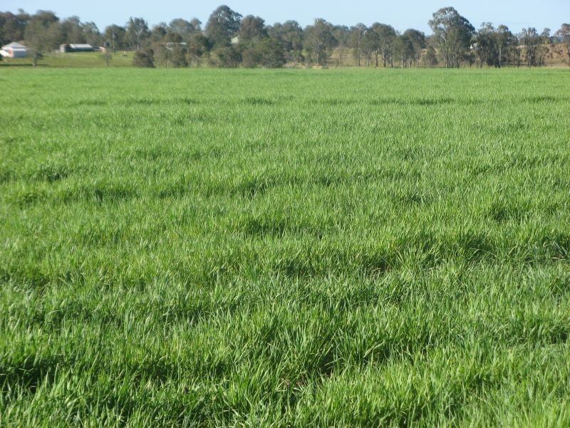 320 Shannonbrook Road, Backmede NSW 2470