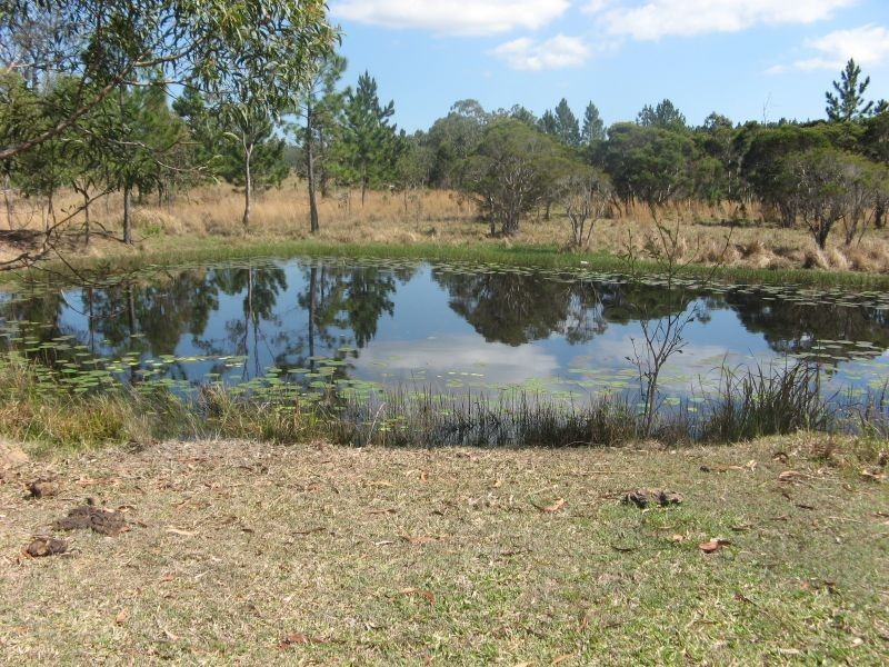 Lot 503 Old Tenterfield Road, Banyabba NSW 2469