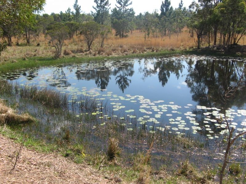 Lot 503 Old Tenterfield Road, Banyabba NSW 2469