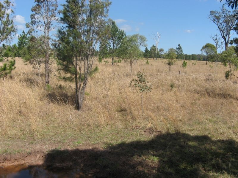 Lot 503 Old Tenterfield Road, Banyabba NSW 2469