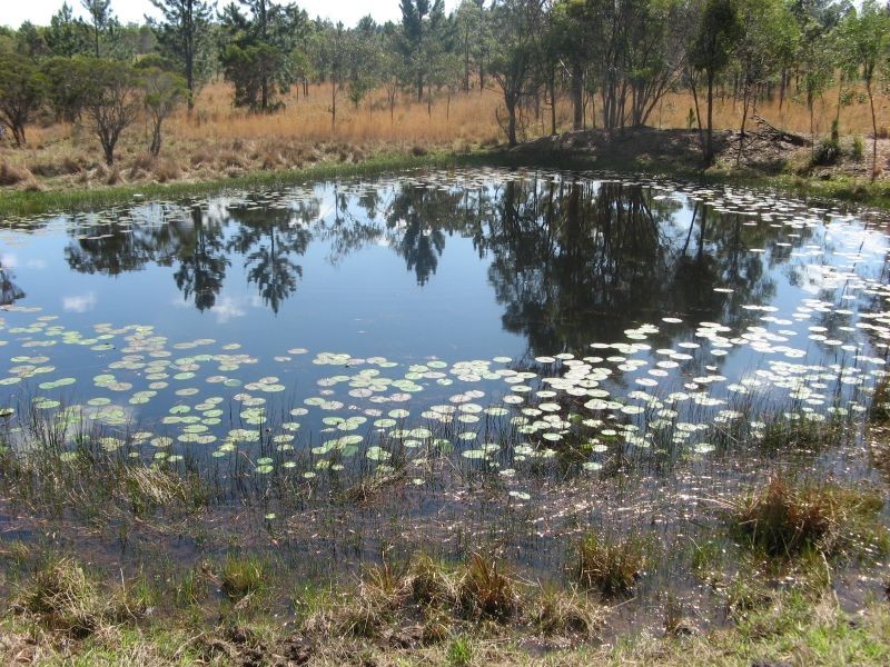 Lot 503 Old Tenterfield Road, Banyabba NSW 2469