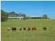 160 Busby Flat Road, Casino NSW 2470