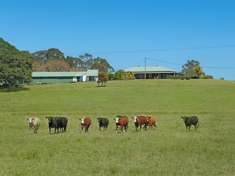 160 Busby Flat Road, Casino NSW 2470