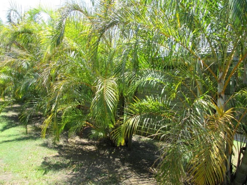 1/16-18 East Street, Casino NSW 2470