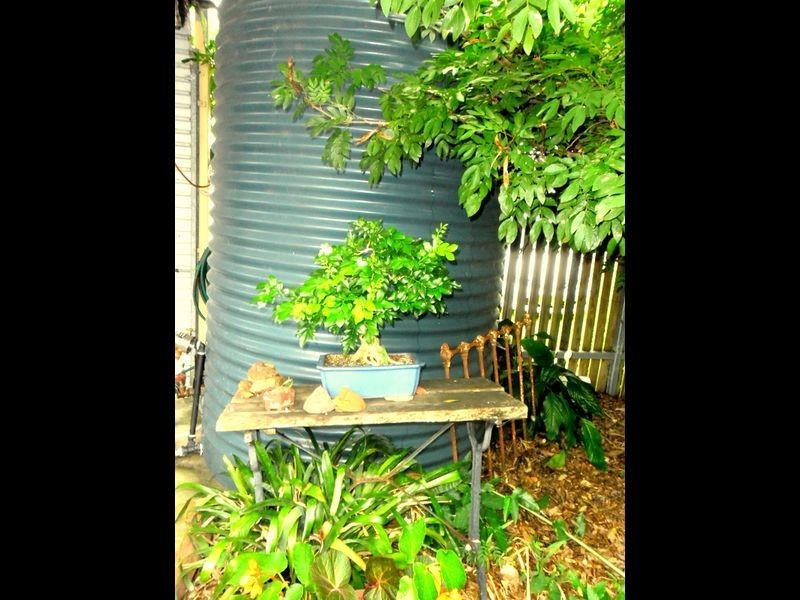 41 Hickey Street, Casino NSW 2470