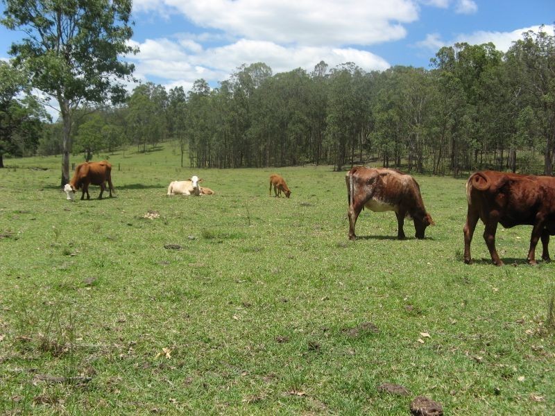 121 Bennetts Road, Dobies Bight NSW 2470