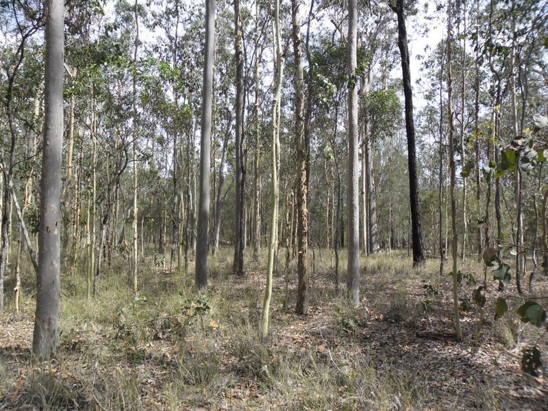 6275 Summerland Way Camira, Casino NSW 2470