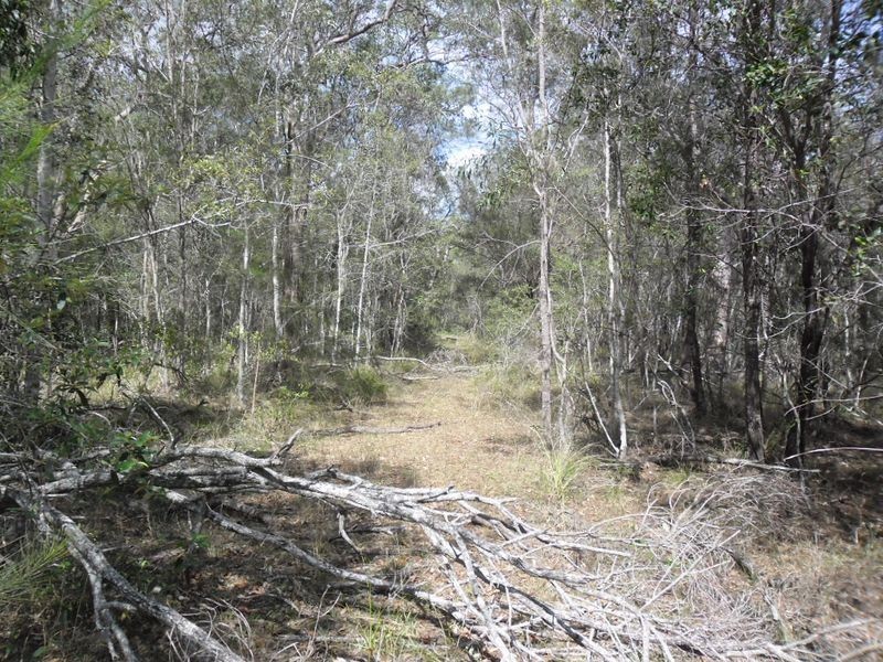 6275 Summerland Way Camira, Casino NSW 2470