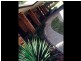 1340 Wyan Road, Rappville NSW 2469