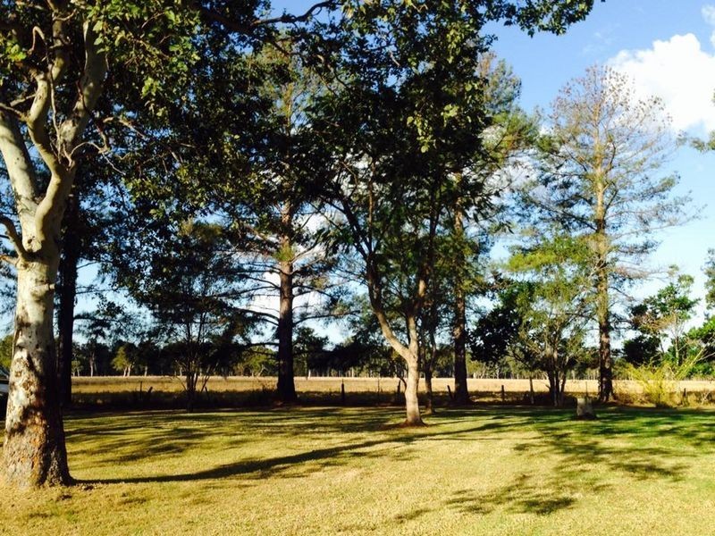 1340 Wyan Road, Rappville NSW 2469
