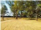 1340 Wyan Road, Rappville NSW 2469
