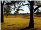 1340 Wyan Road, Rappville NSW 2469