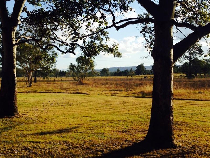 1340 Wyan Road, Rappville NSW 2469